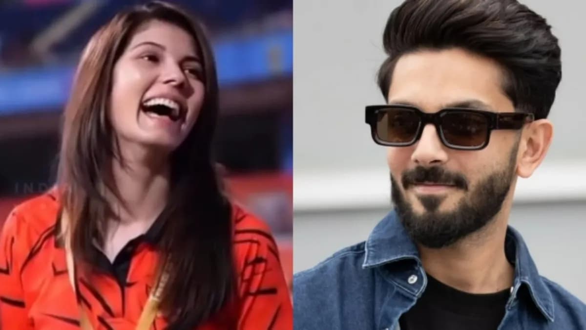 Anirudh-Kavya Wedding: Chartered Flights, Crores Spent