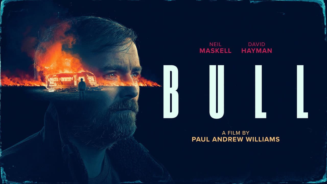 Bull still 8