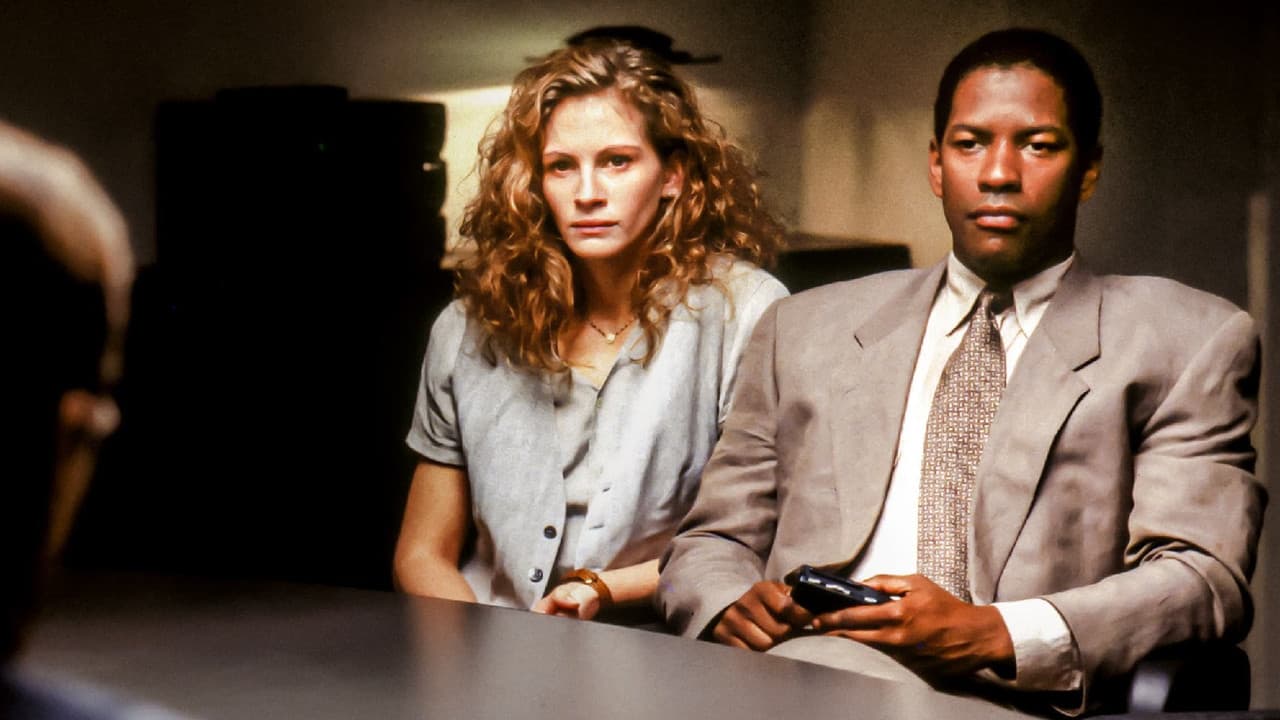 The Pelican Brief still 8