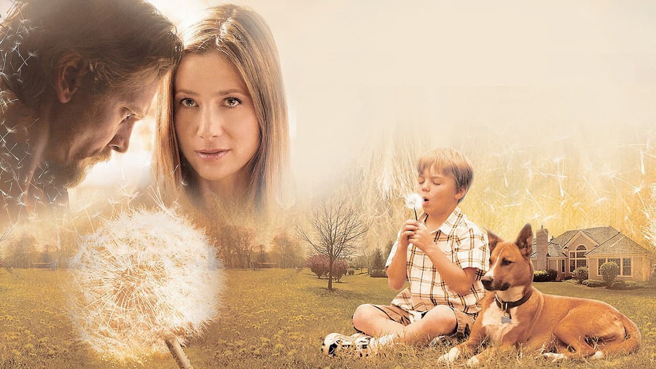 Like Dandelion Dust still 6