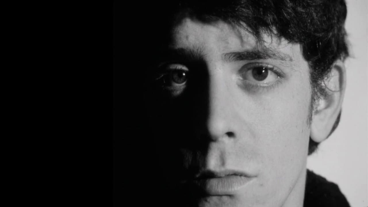 The Velvet Underground still 8
