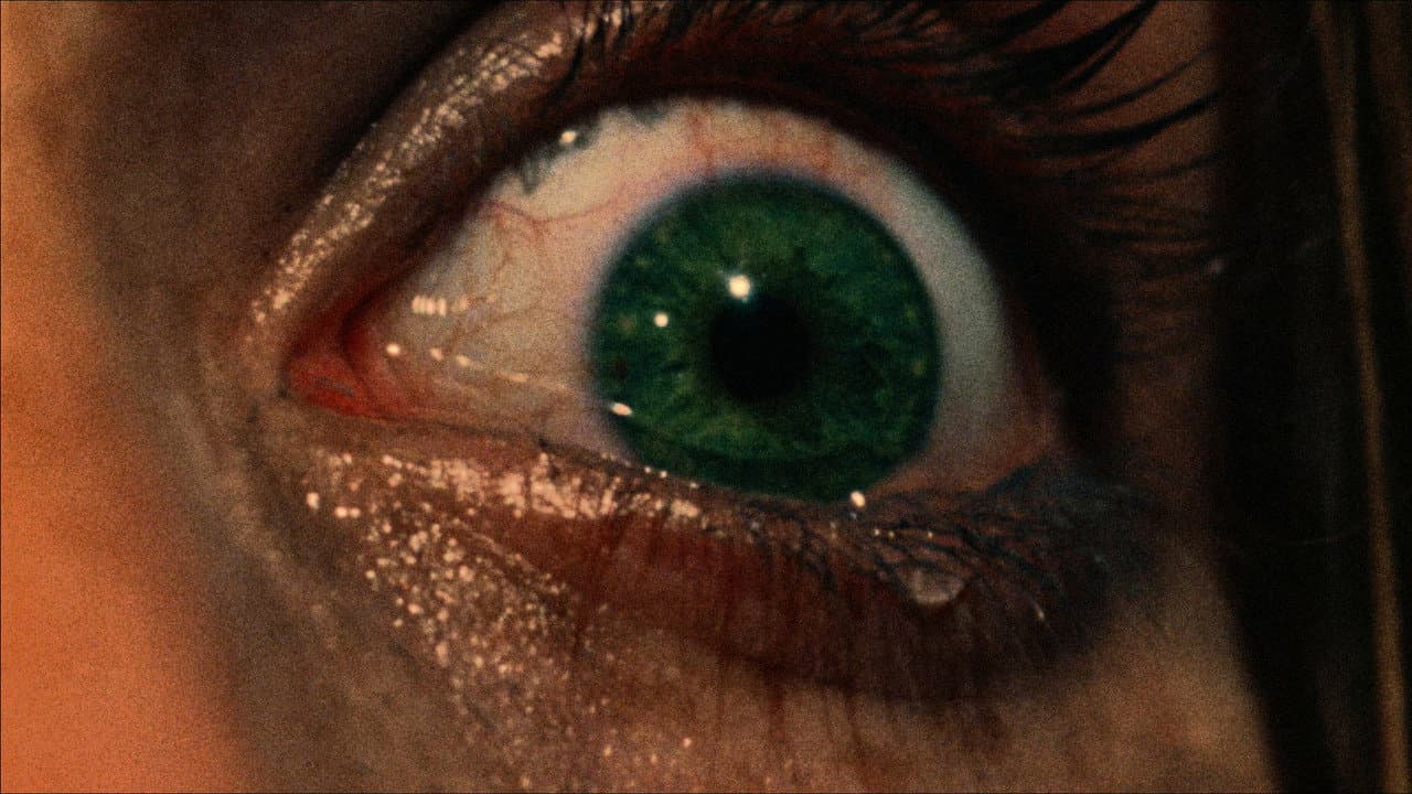 The Texas Chain Saw Massacre still 2