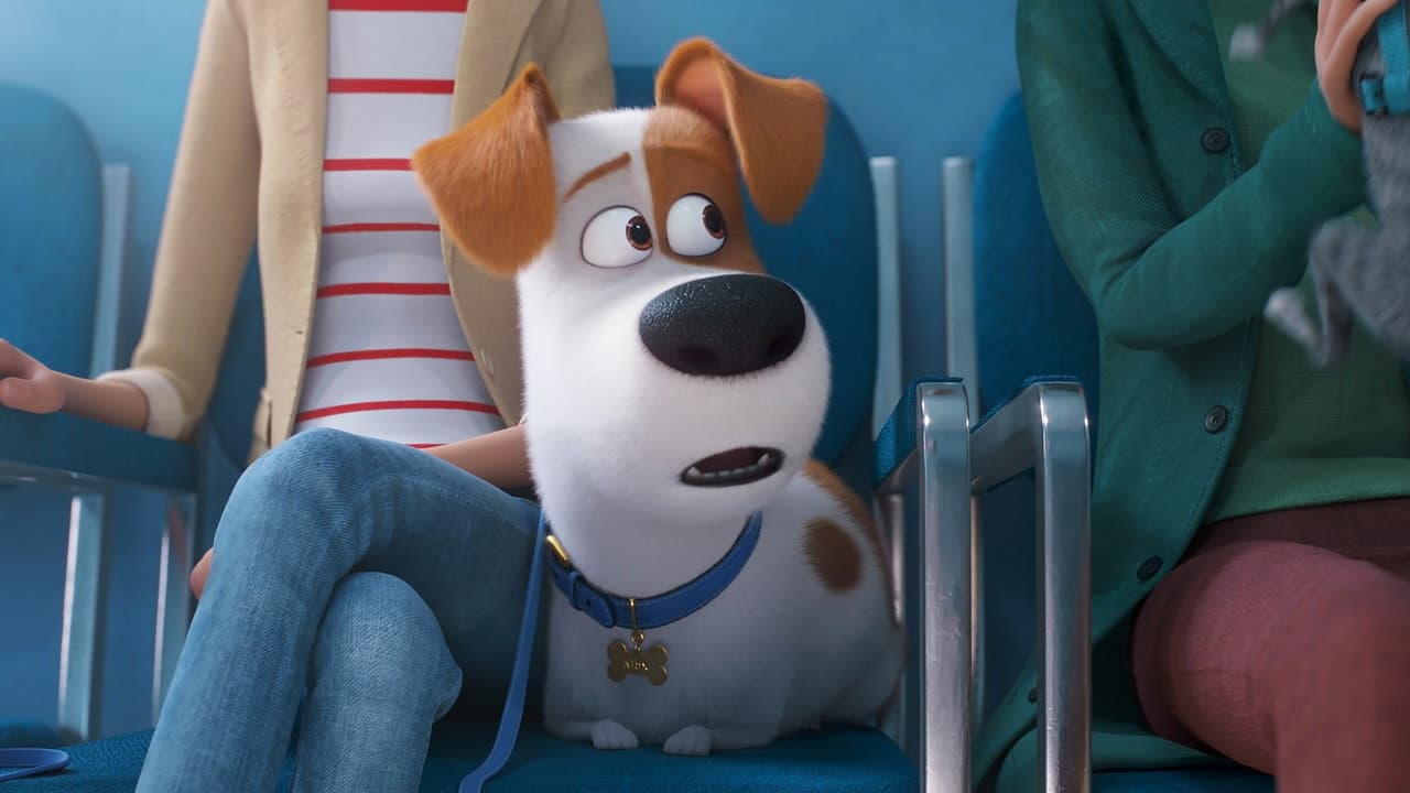 The Secret Life of Pets 2 still 4