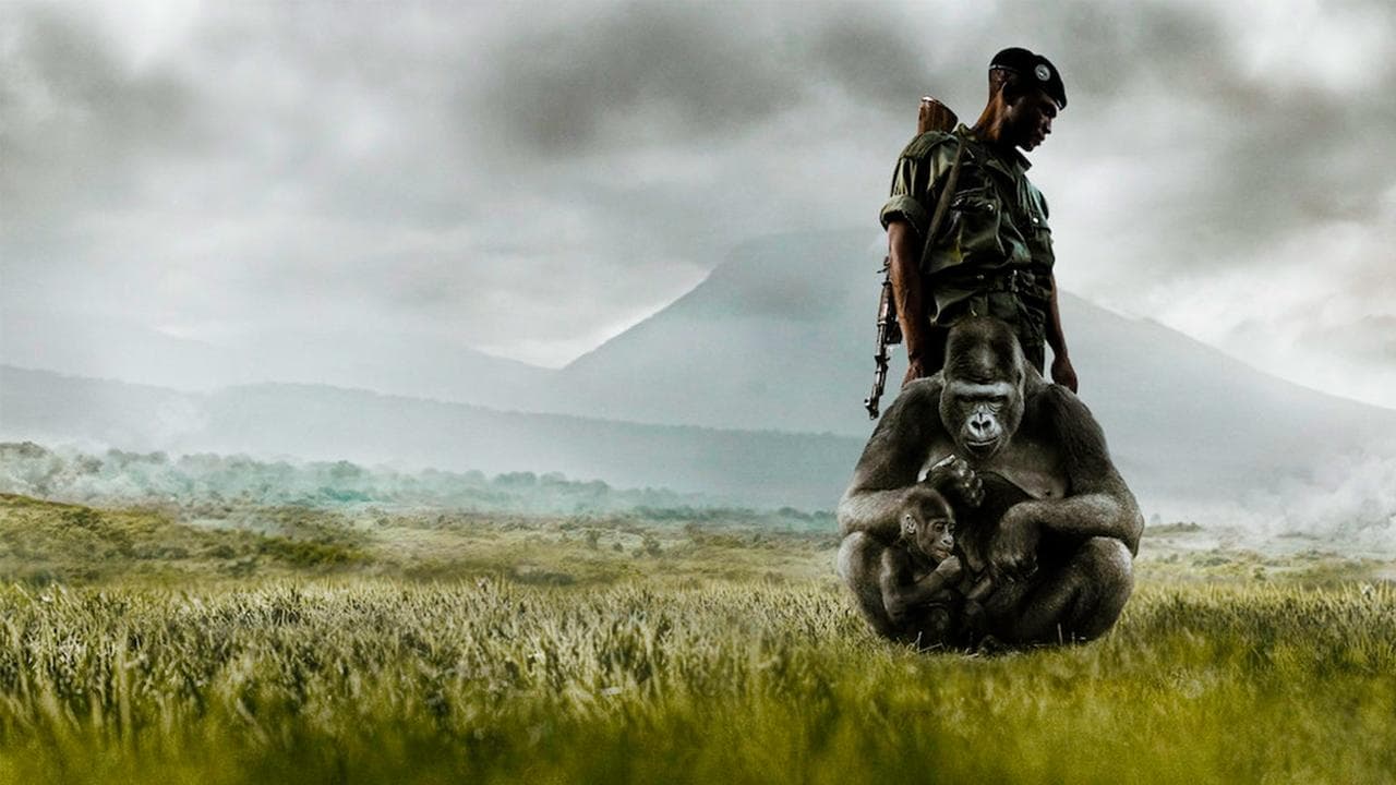 Virunga still 2