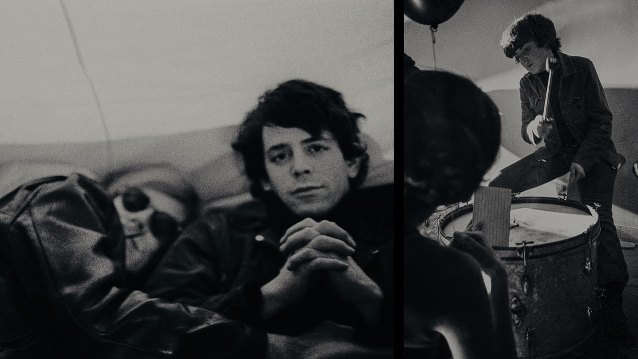 The Velvet Underground still 2