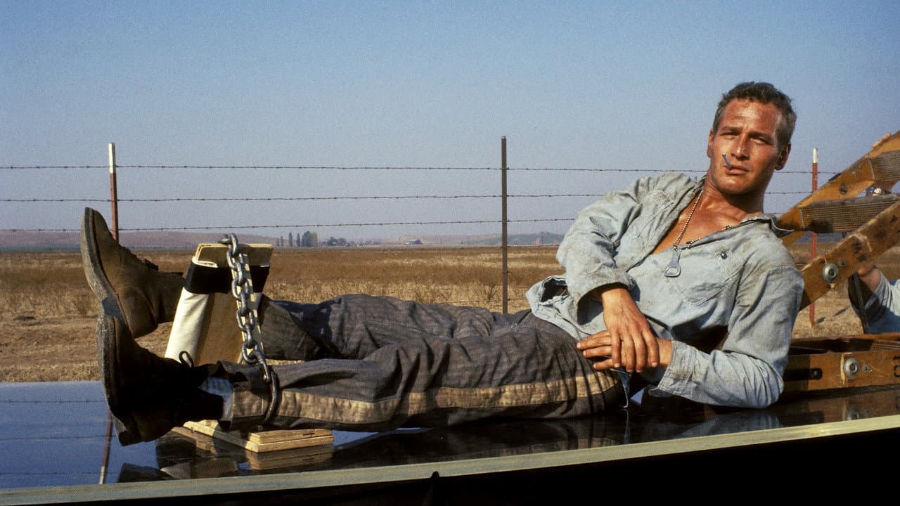 Cool Hand Luke still 2