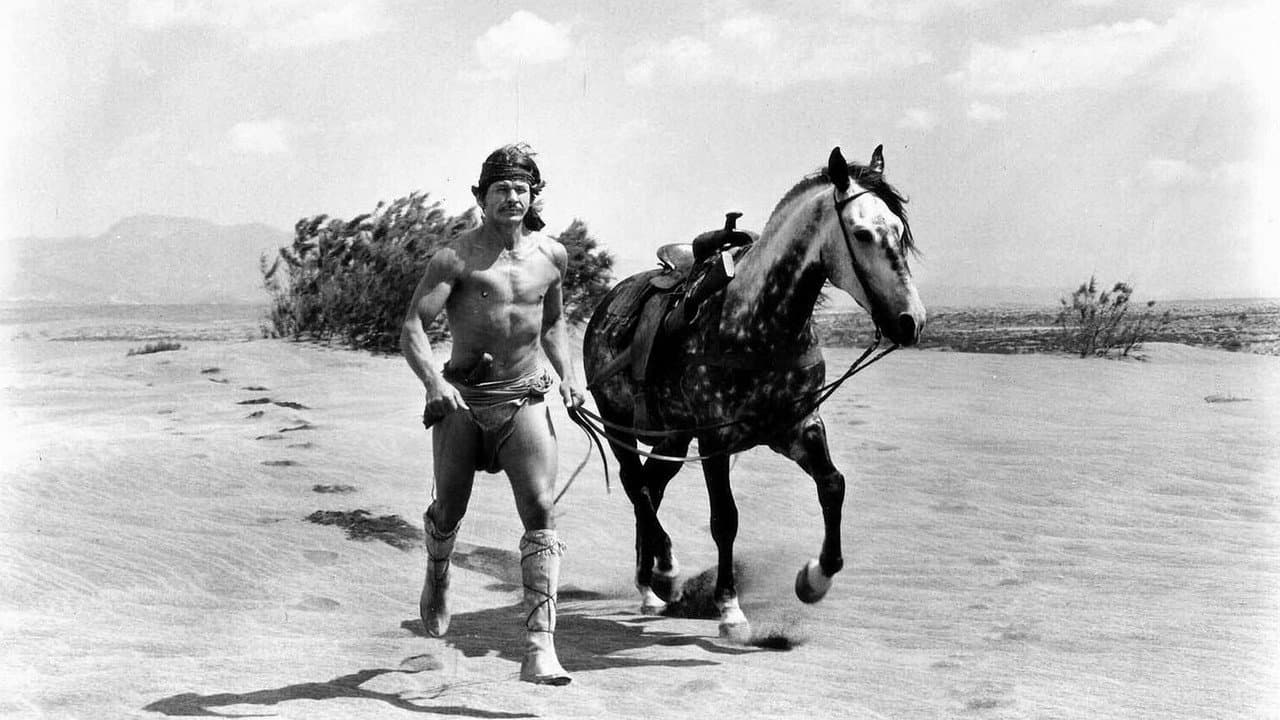 Chato's Land still 3