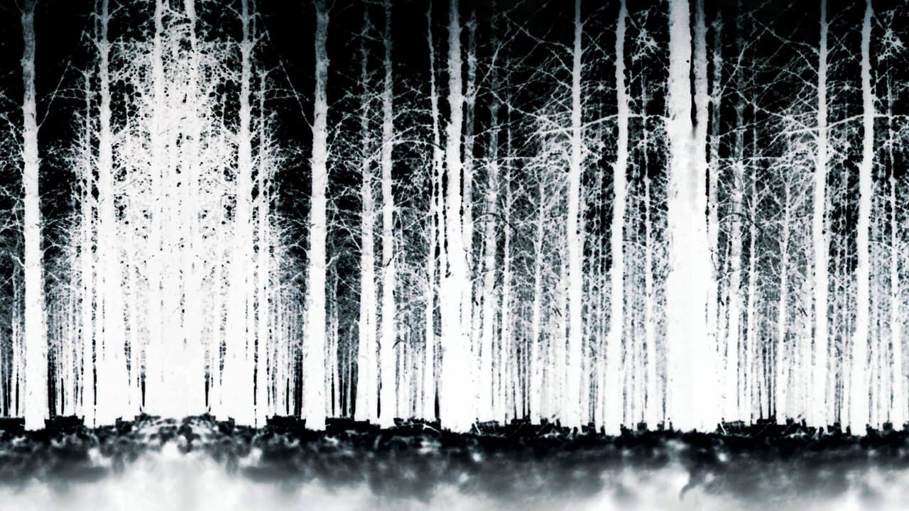 The Blair Witch Project still 6