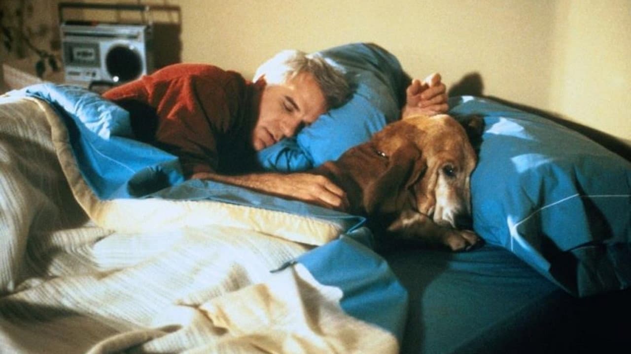 The Lonely Guy still 4