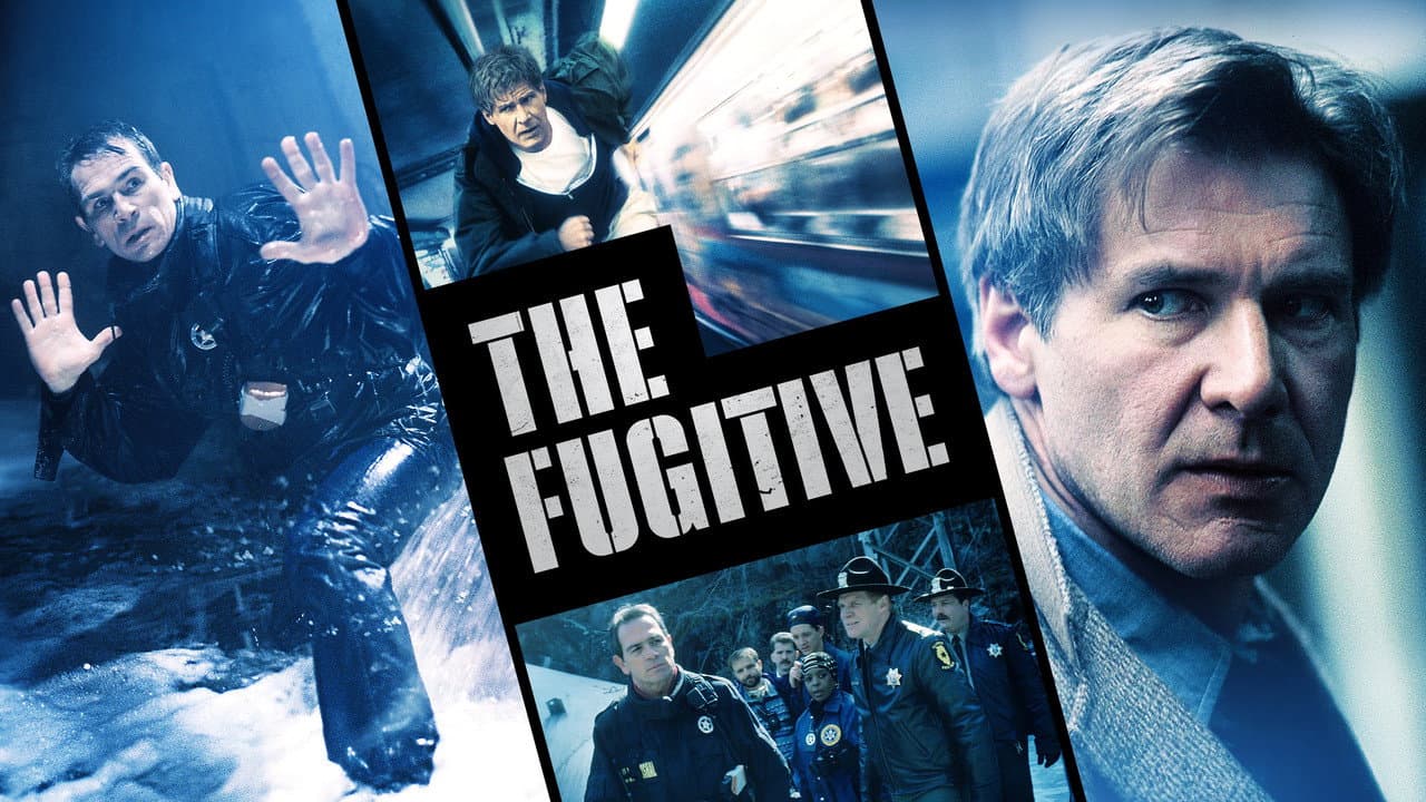 The Fugitive still 4
