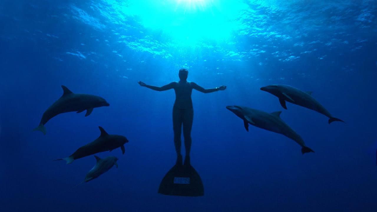 The Cove still 1