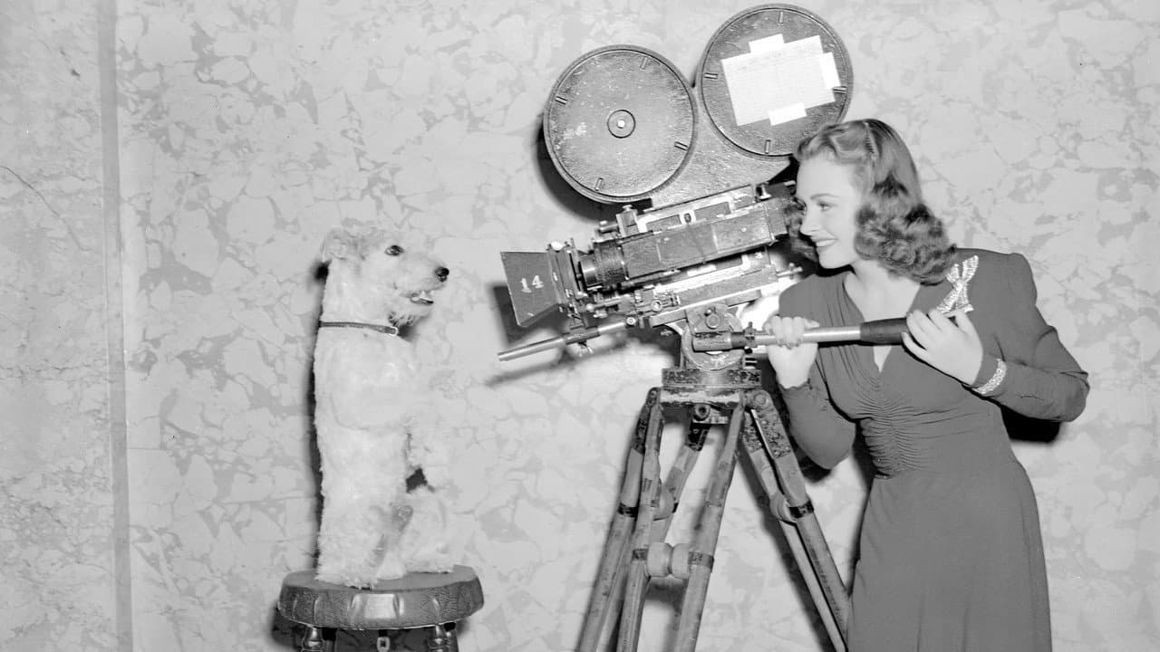 Shadow of the Thin Man still 4