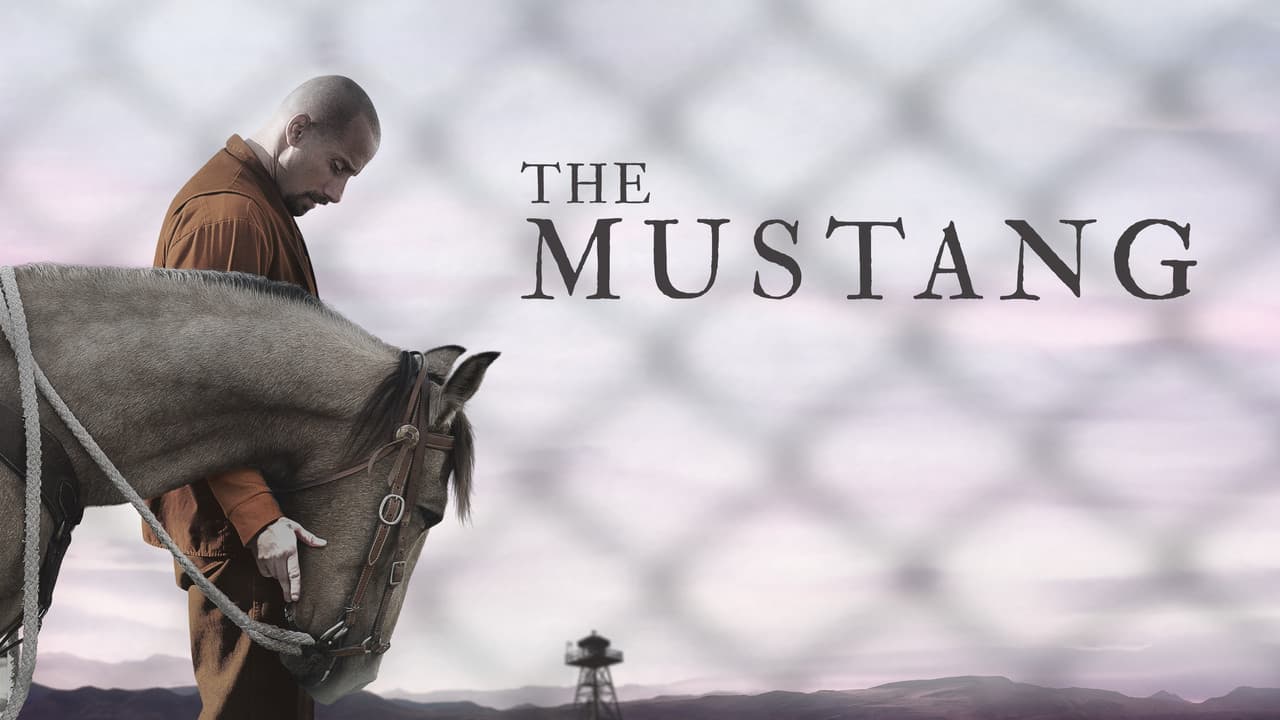 The Mustang still 4