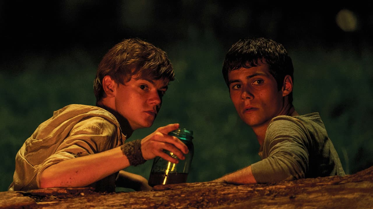 The Maze Runner still 3