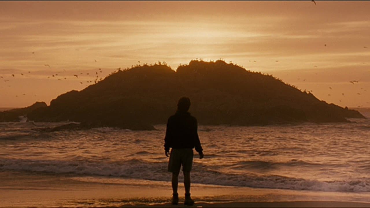 Into the Wild still 4