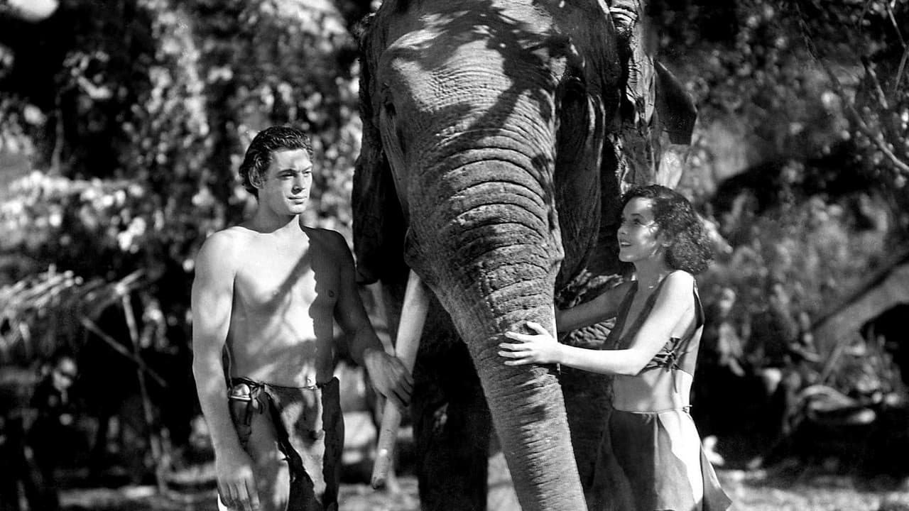 Tarzan and His Mate still 1
