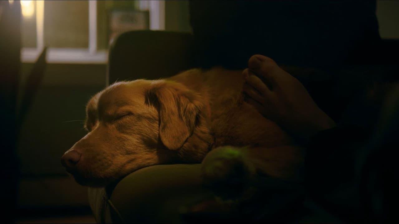 Good Boy still 6