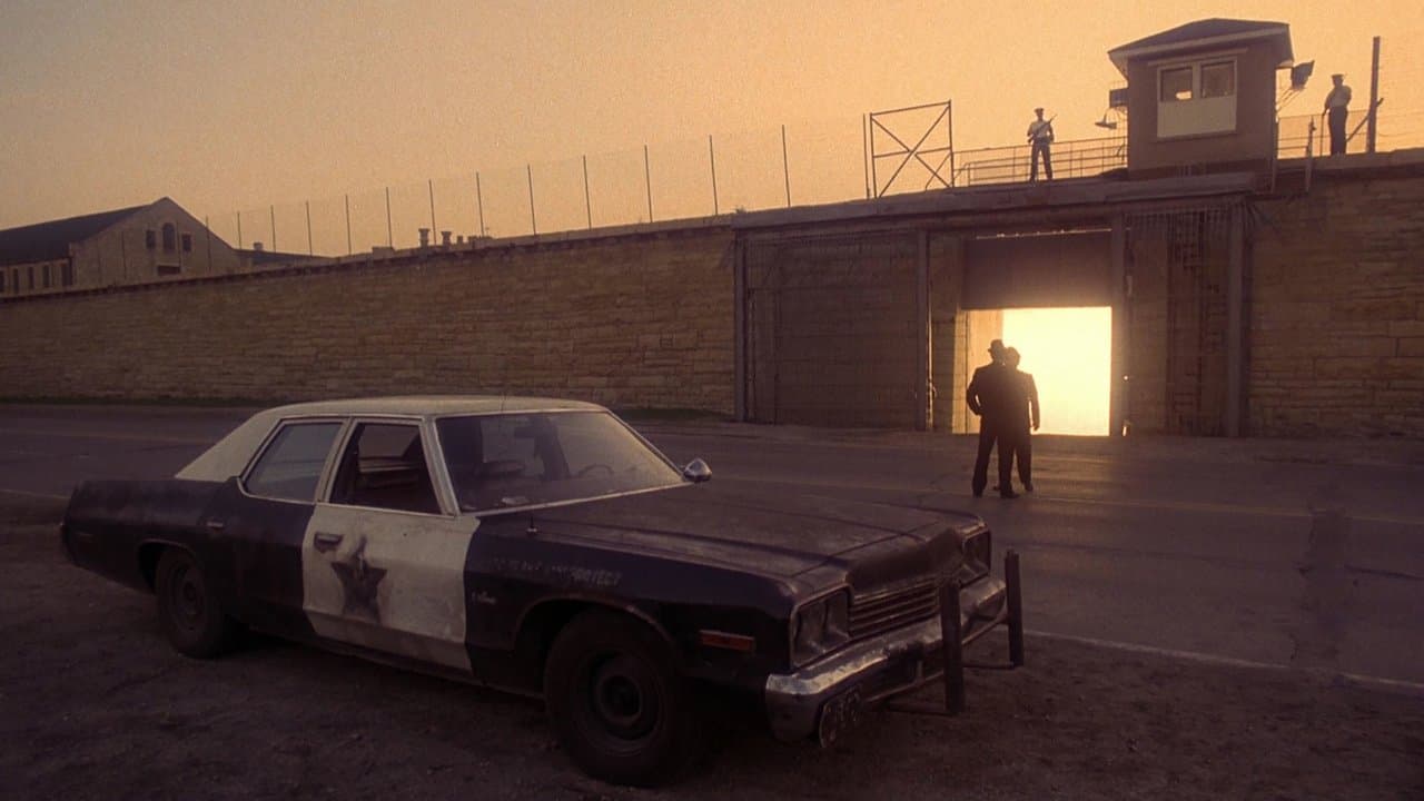The Blues Brothers still 2