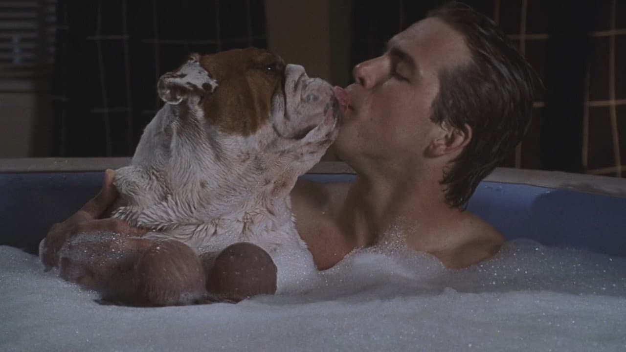 National Lampoon's Van Wilder still 5