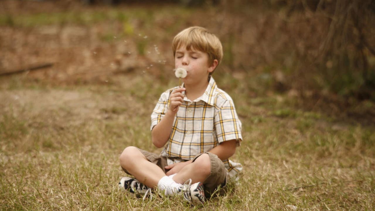 Like Dandelion Dust still 3