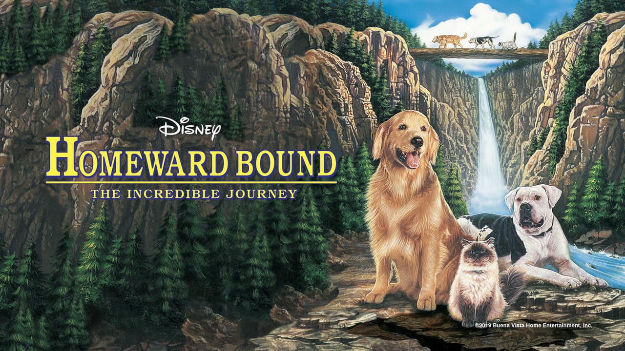 Homeward Bound: The Incredible Journey still 1