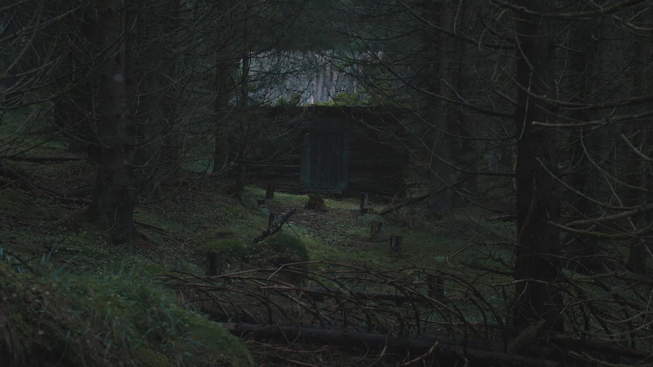 The Ritual still 3