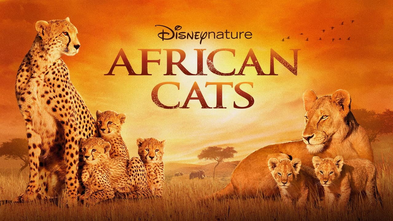 African Cats still 4