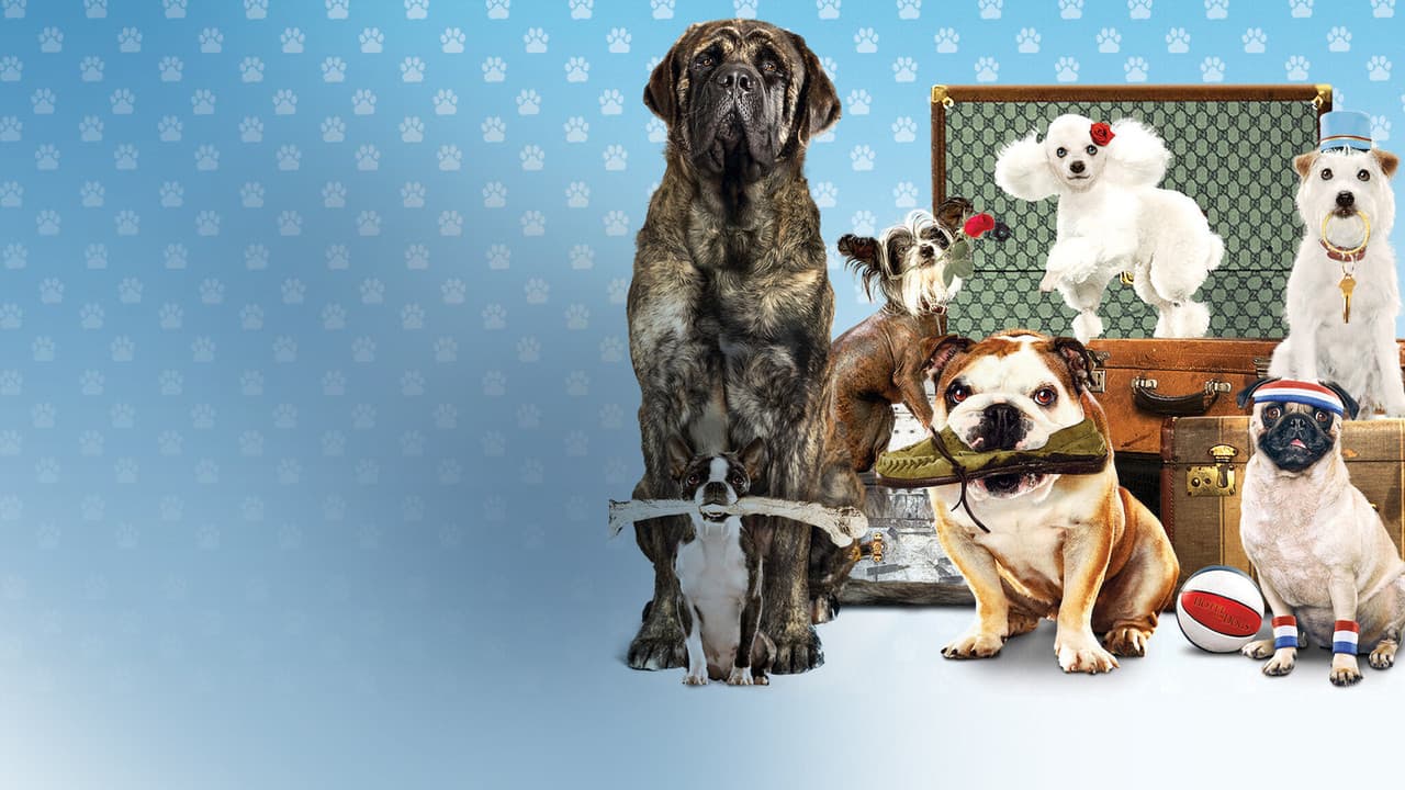 Hotel for Dogs still 8