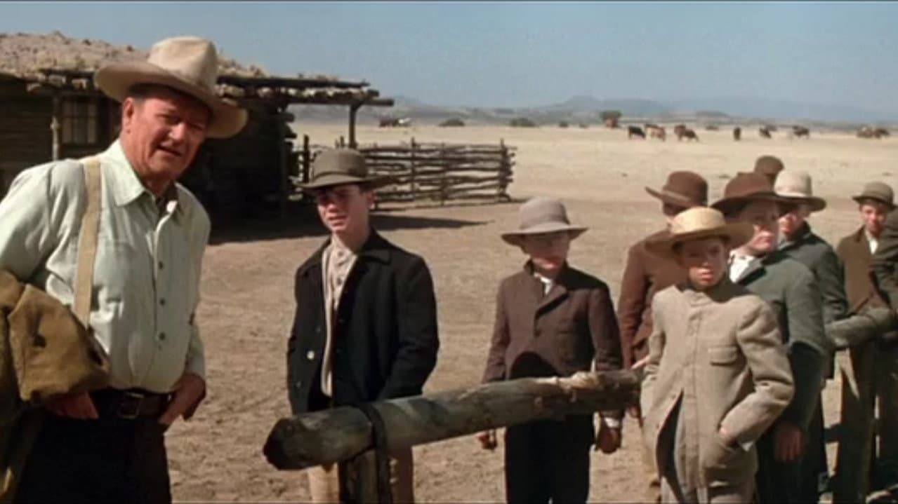 The Cowboys still 2