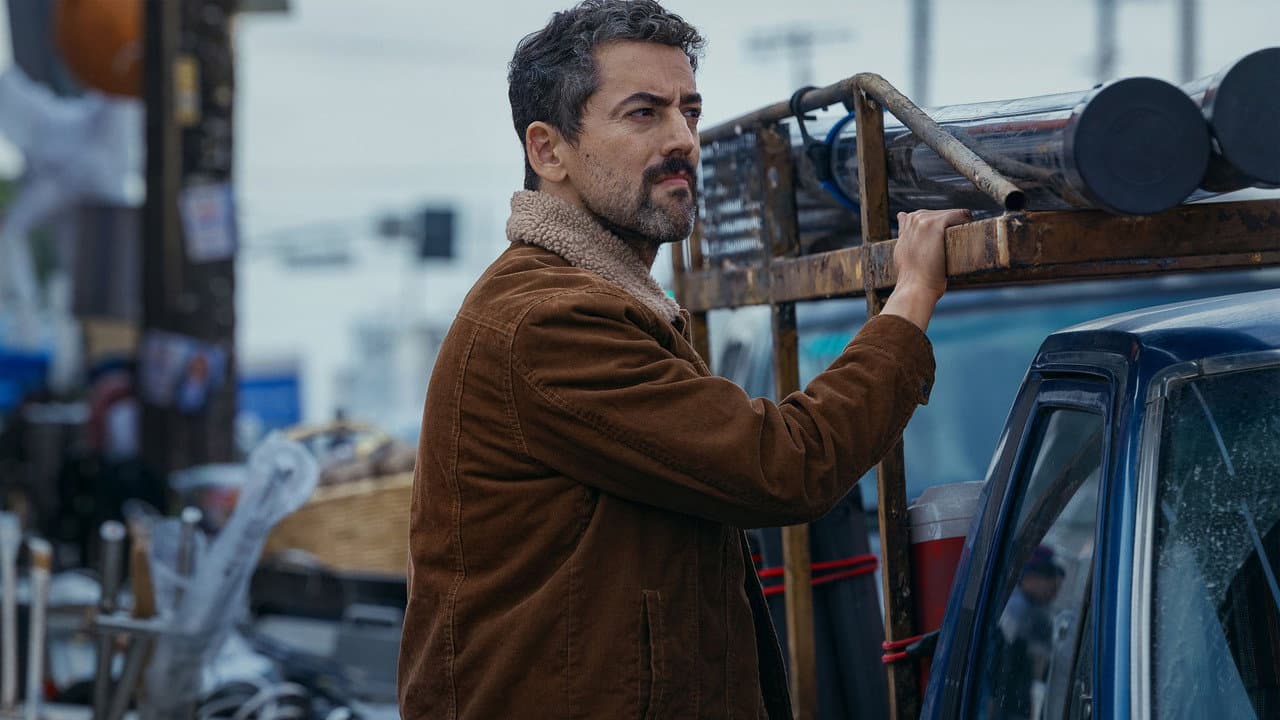 Animals still 7