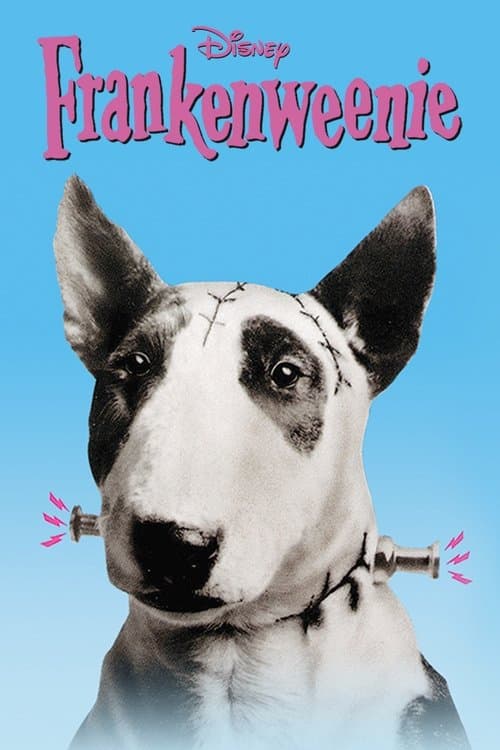 Frankenweenie still 8