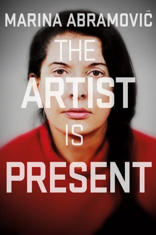 Marina Abramović: The Artist Is Present still 2