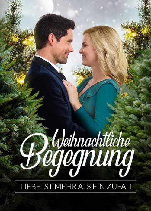 A Godwink Christmas: Meant For Love still 8