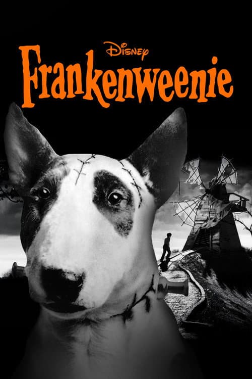 Frankenweenie still 7