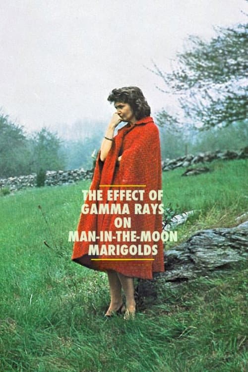 The Effect of Gamma Rays on Man-in-the-Moon Marigolds still 7