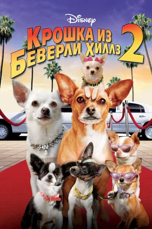 Beverly Hills Chihuahua 2 still 8