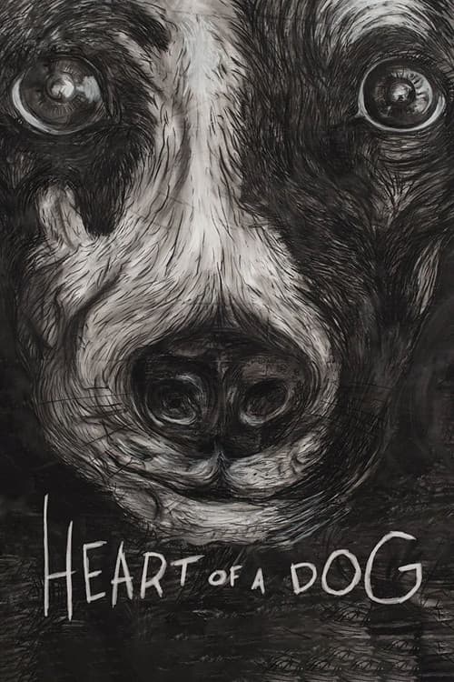 Heart of a Dog still 7
