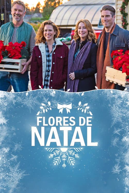 Poinsettias for Christmas still 7