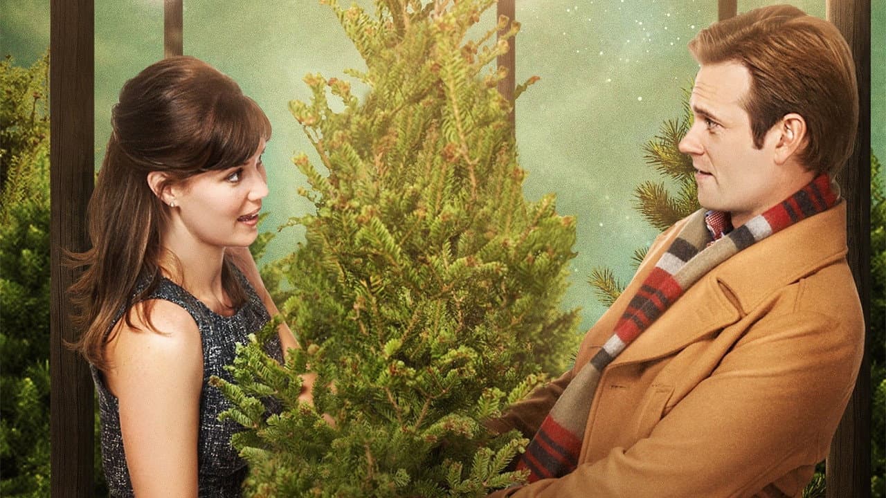 Fir Crazy still 2