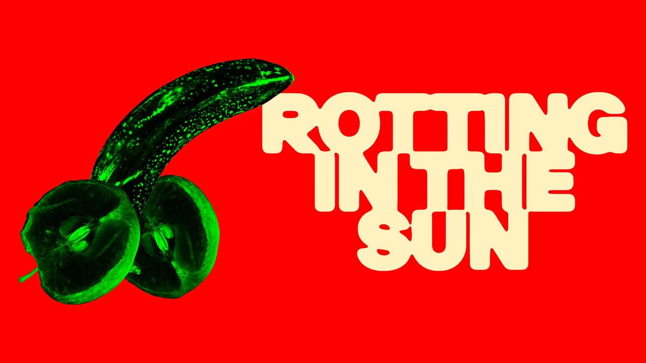 Rotting in the Sun still 6