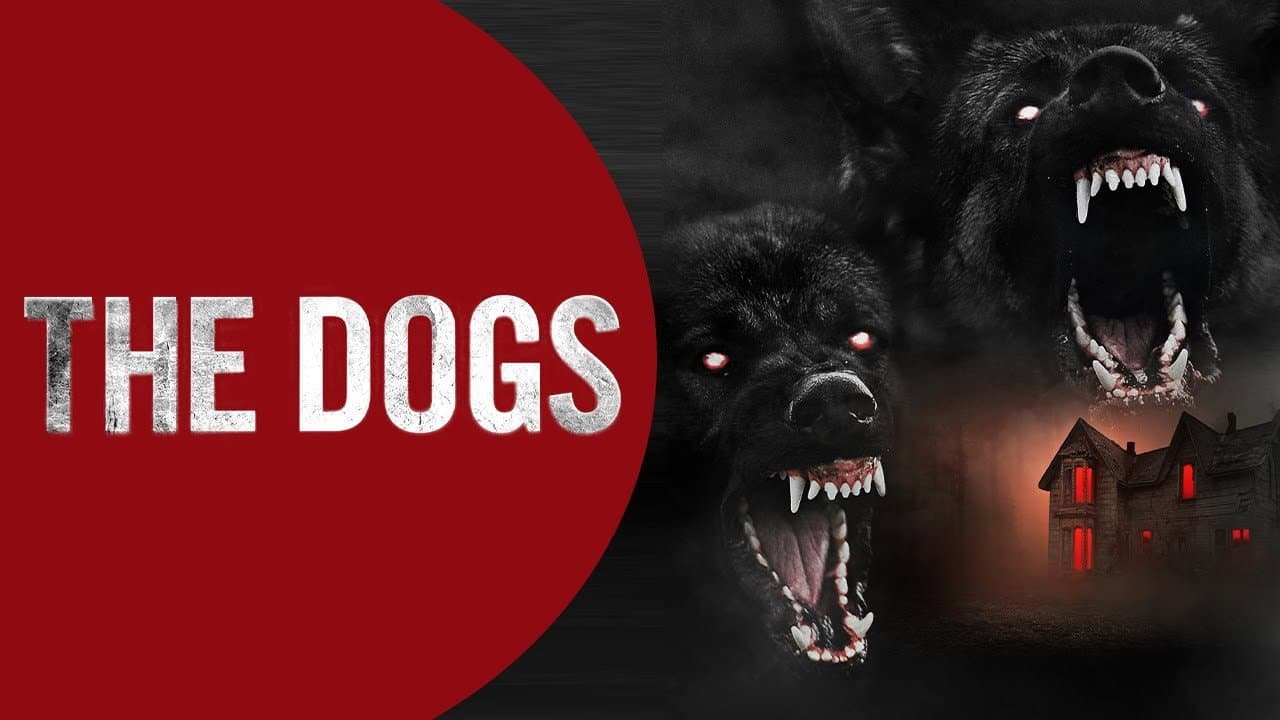 The Dogs still 3