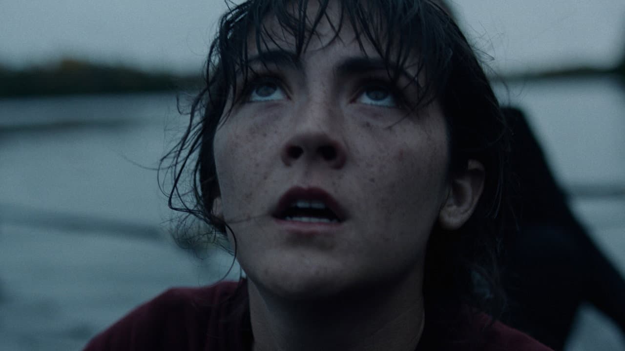 The Novice still 3
