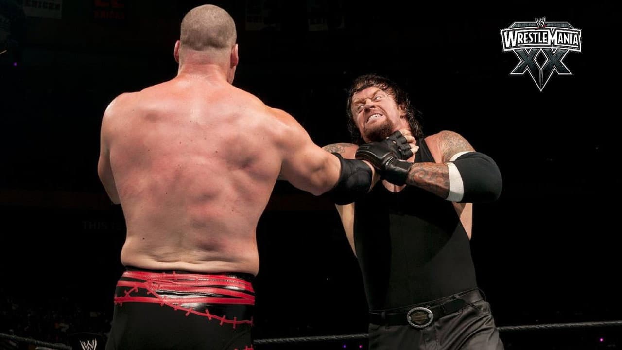 WWE WrestleMania XX still 6
