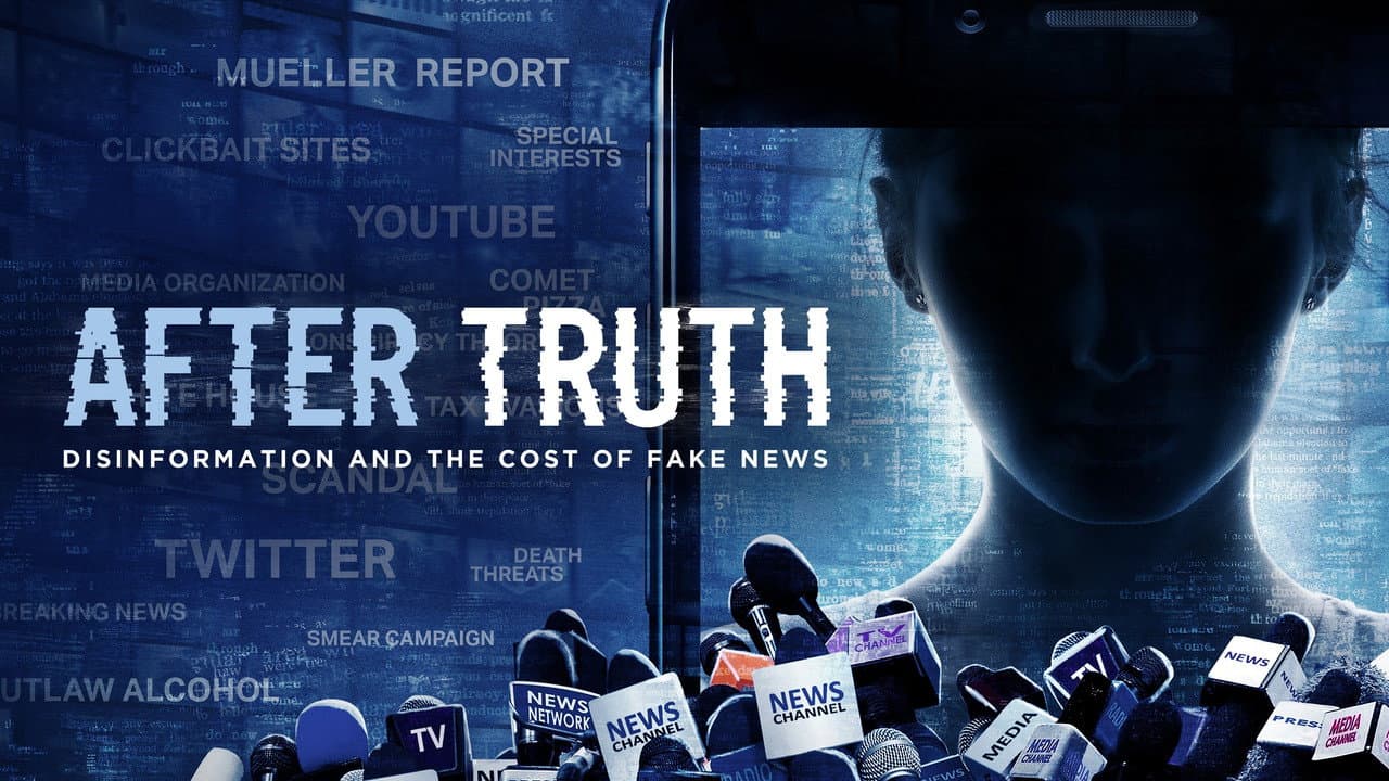 After Truth: Disinformation and the Cost of Fake News still 3