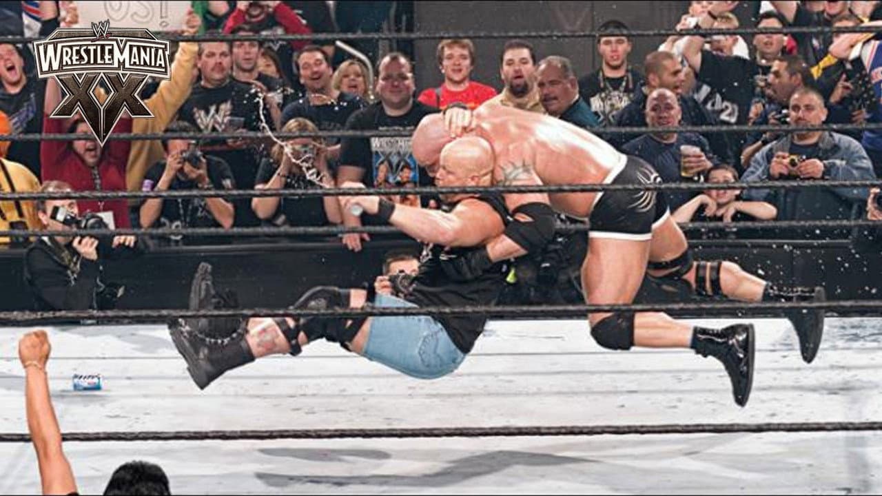 WWE WrestleMania XX still 8