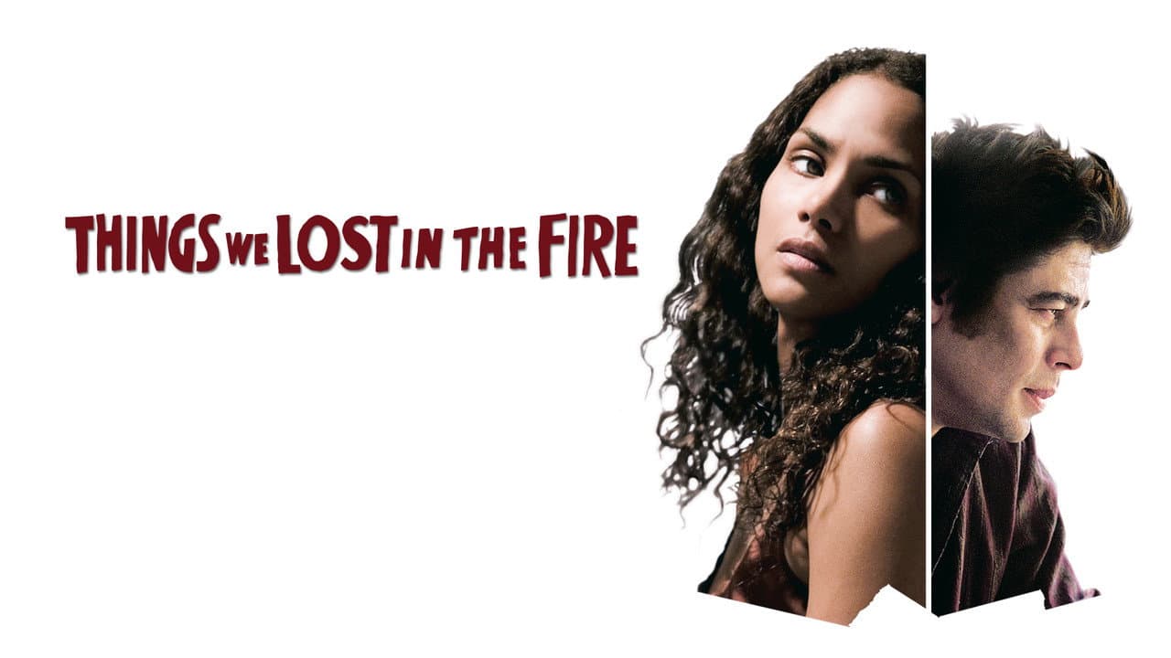 Things We Lost in the Fire still 4