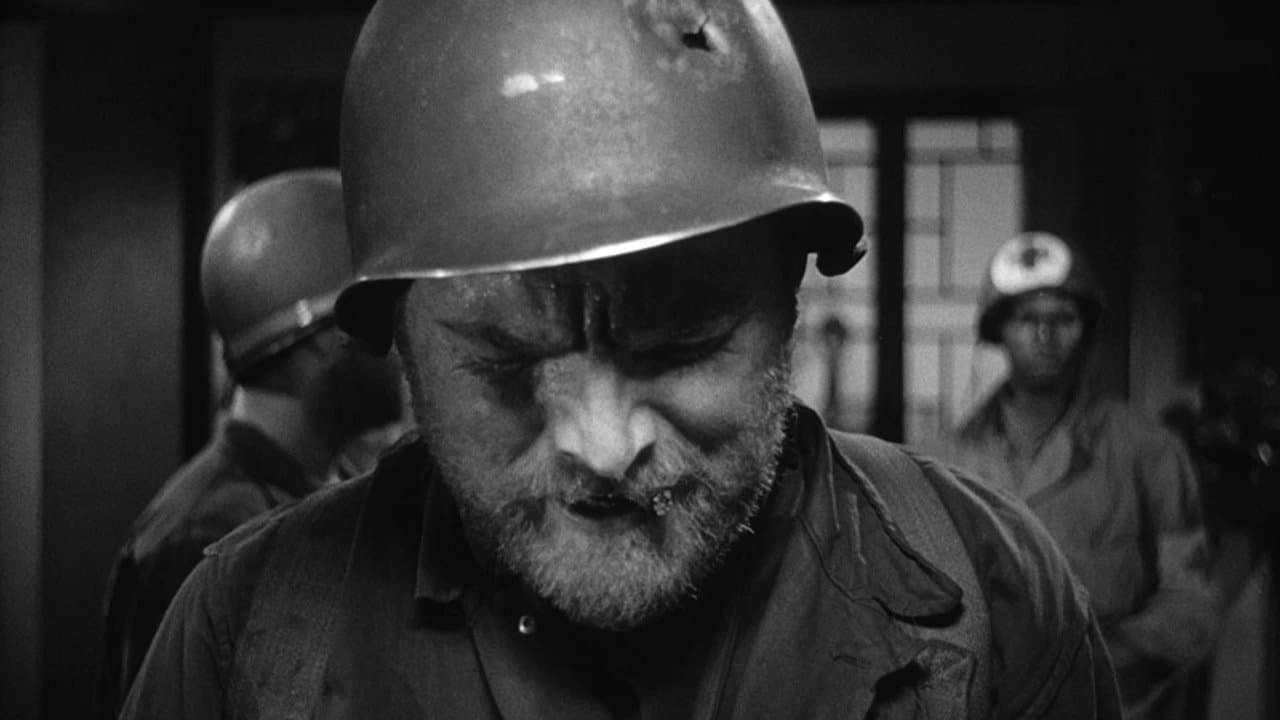 The Steel Helmet still 2