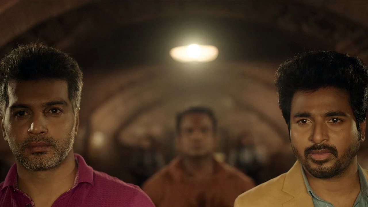 Doctor still 6