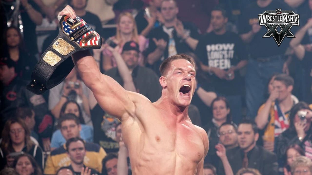 WWE WrestleMania XX still 7