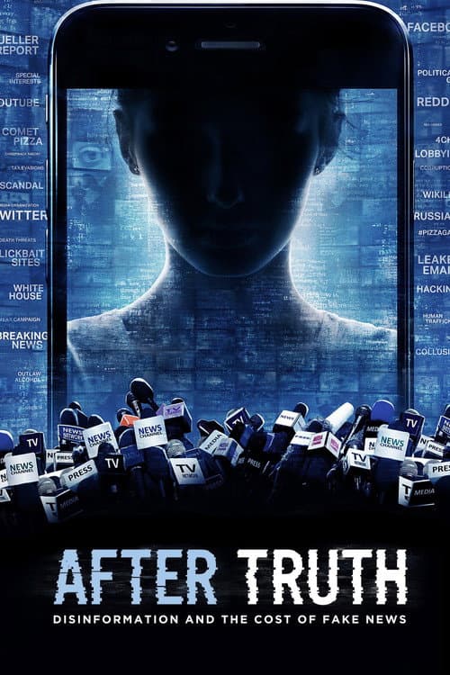 After Truth: Disinformation and the Cost of Fake News still 8